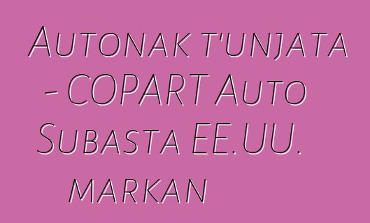 Autonak t'unjata - COPART Auto Subasta EE.UU. markan