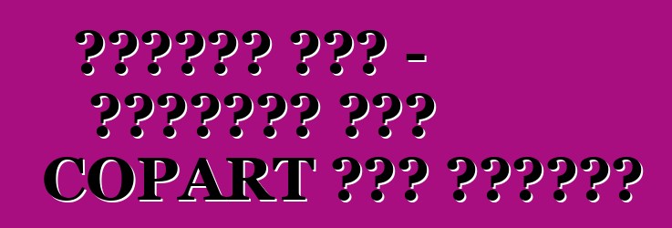 ध्वस्त कार - अमेरिका में COPART ऑटो नीलामी