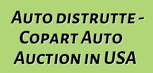 Auto distrutte - Copart Auto Auction in USA