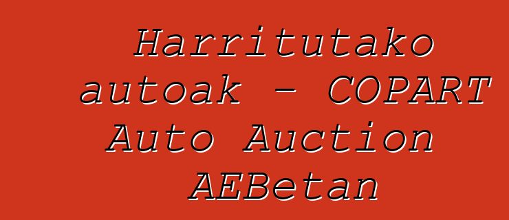 Harritutako autoak - COPART Auto Auction AEBetan