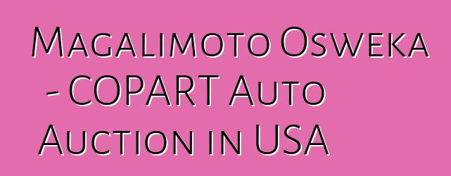 Magalimoto Osweka - COPART Auto Auction in USA