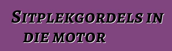 Sitplekgordels in die motor