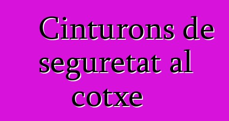 Cinturons de seguretat al cotxe
