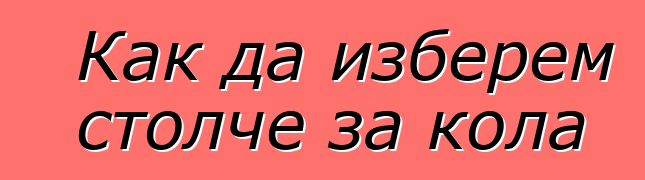 Как да изберем столче за кола