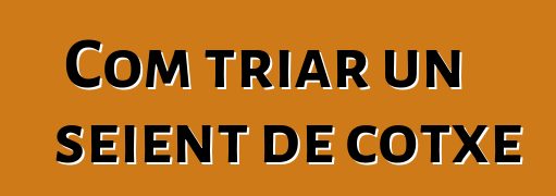 Com triar un seient de cotxe