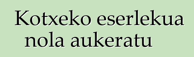 Kotxeko eserlekua nola aukeratu