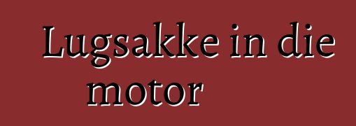 Lugsakke in die motor