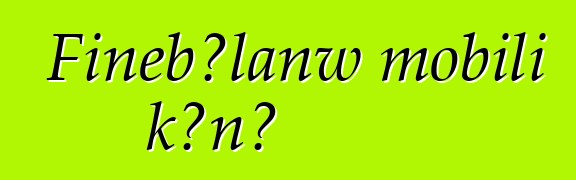 Fiɲɛbɔlanw mobili kɔnɔ