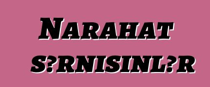 Narahat sərnişinlər