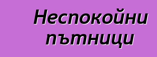 Неспокойни пътници