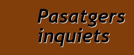 Pasatgers inquiets