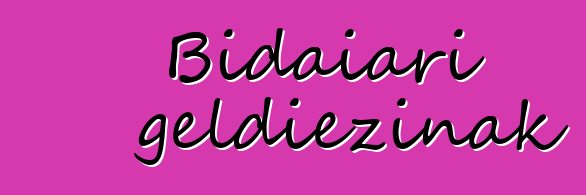 Bidaiari geldiezinak