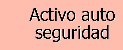 Activo auto seguridad