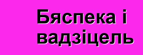 Бяспека і вадзіцель