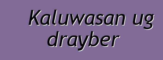 Kaluwasan ug drayber
