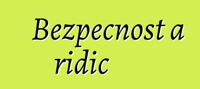 Bezpečnost a řidič