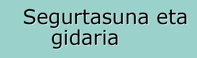 Segurtasuna eta gidaria