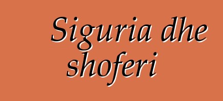 Siguria dhe shoferi