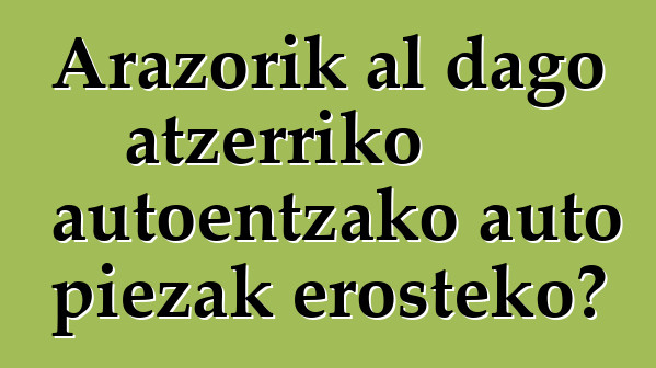 Arazorik al dago atzerriko autoentzako auto piezak erosteko?