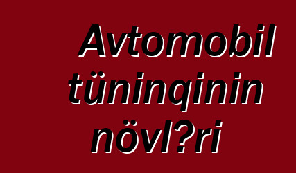 Avtomobil tüninqinin növləri