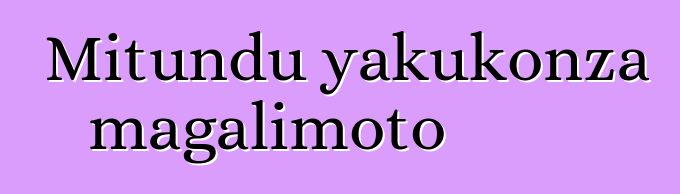 Mitundu yakukonza magalimoto