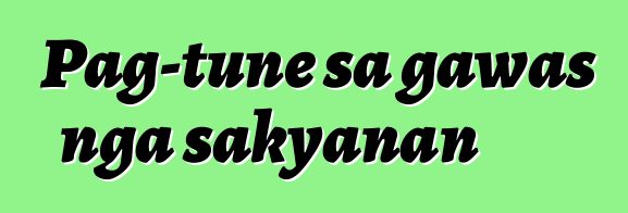 Pag-tune sa gawas nga sakyanan
