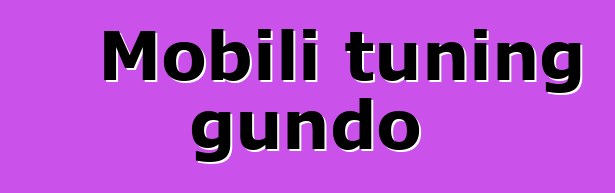 Mobili tuning gundo