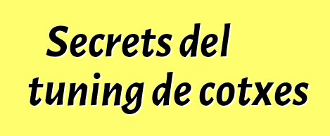 Secrets del tuning de cotxes