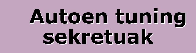 Autoen tuning sekretuak