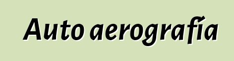 Auto aerografía