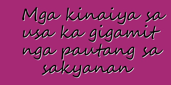 Mga kinaiya sa usa ka gigamit nga pautang sa sakyanan