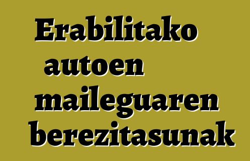 Erabilitako autoen maileguaren berezitasunak