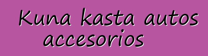 Kuna kasta autos accesorios