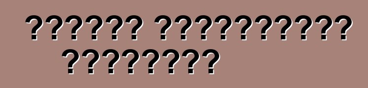 গাড়ির আনুষাঙ্গিক প্রকারের