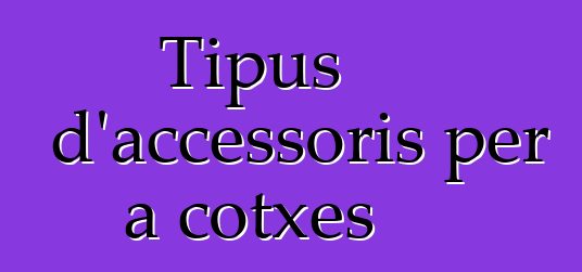 Tipus d'accessoris per a cotxes