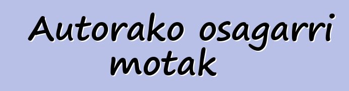 Autorako osagarri motak