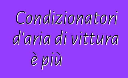 Condizionatori d'aria di vittura è più