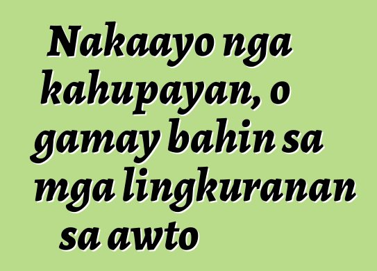 Nakaayo nga kahupayan, o gamay bahin sa mga lingkuranan sa awto