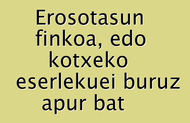Erosotasun finkoa, edo kotxeko eserlekuei buruz apur bat