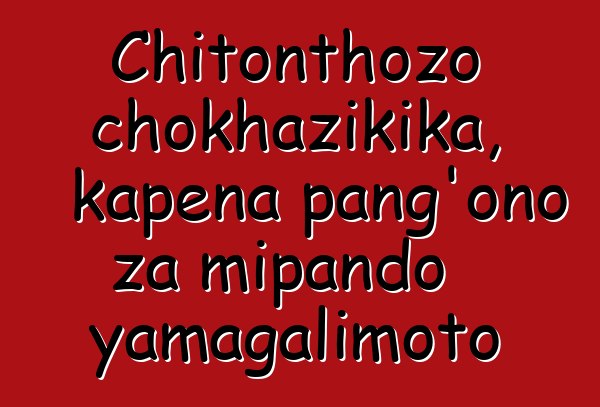 Chitonthozo chokhazikika, kapena pang'ono za mipando yamagalimoto