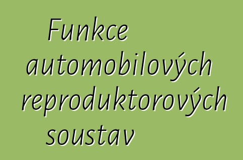 Funkce automobilových reproduktorových soustav