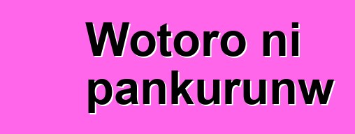 Wotoro ni pankurunw