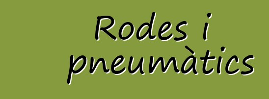Rodes i pneumàtics