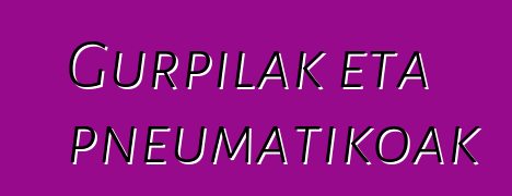 Gurpilak eta pneumatikoak