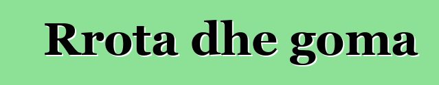 Rrota dhe goma