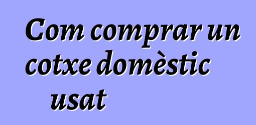 Com comprar un cotxe domèstic usat