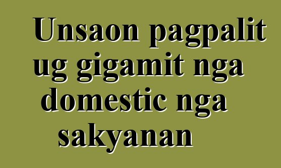 Unsaon pagpalit ug gigamit nga domestic nga sakyanan