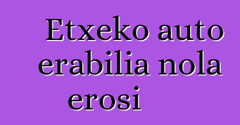 Etxeko auto erabilia nola erosi