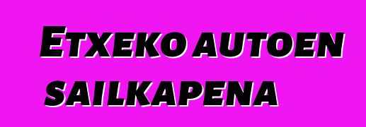 Etxeko autoen sailkapena