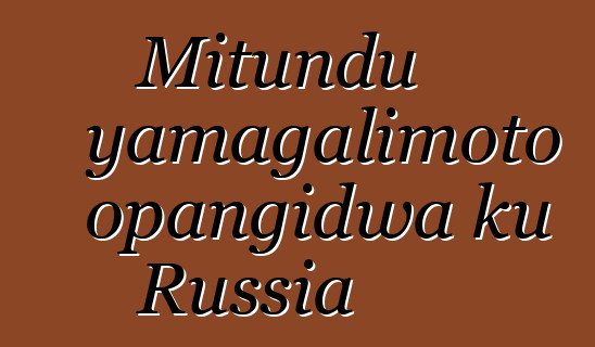 Mitundu yamagalimoto opangidwa ku Russia